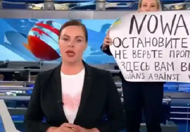 Сірі бджоли не гудуть…
