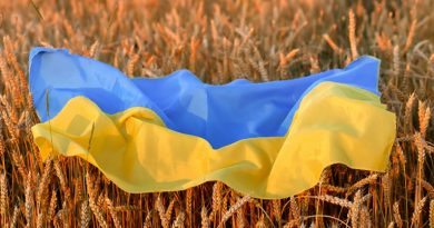 Відносини Польщі та України: жодних шмарклів